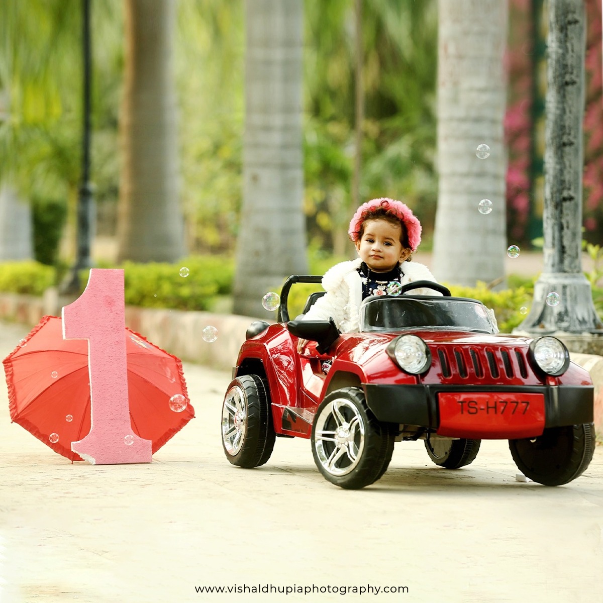 Top Photographer in Udaipur